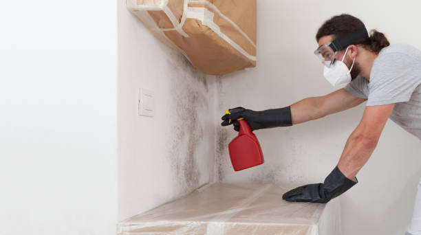 Professional Commercial Mold Remediation technician working in Hudson, MA